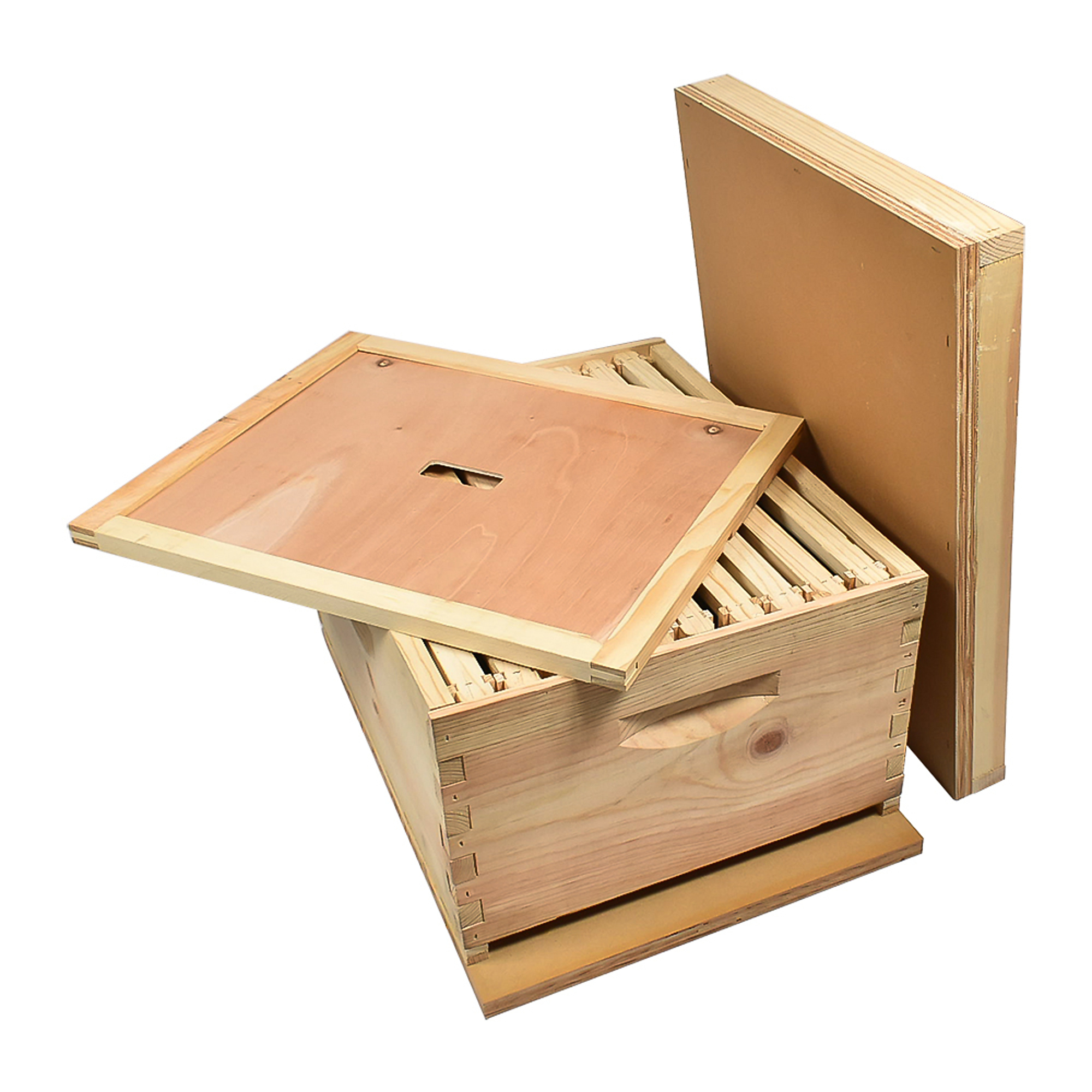 GoodLand Bee Supply GL-E2-1BK Beekeeping Single Deep Beehive Kit